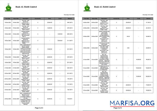 Realistic Pakistan Bank Al Habib statement of account word 4 pages, 3 4 pages sample
